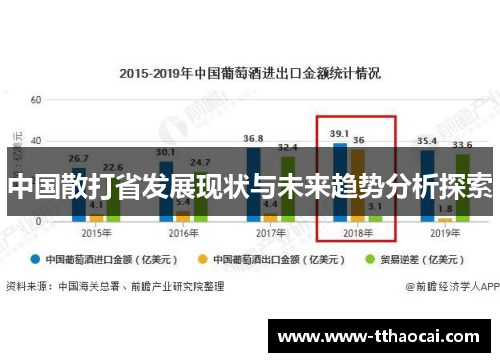 中国散打省发展现状与未来趋势分析探索